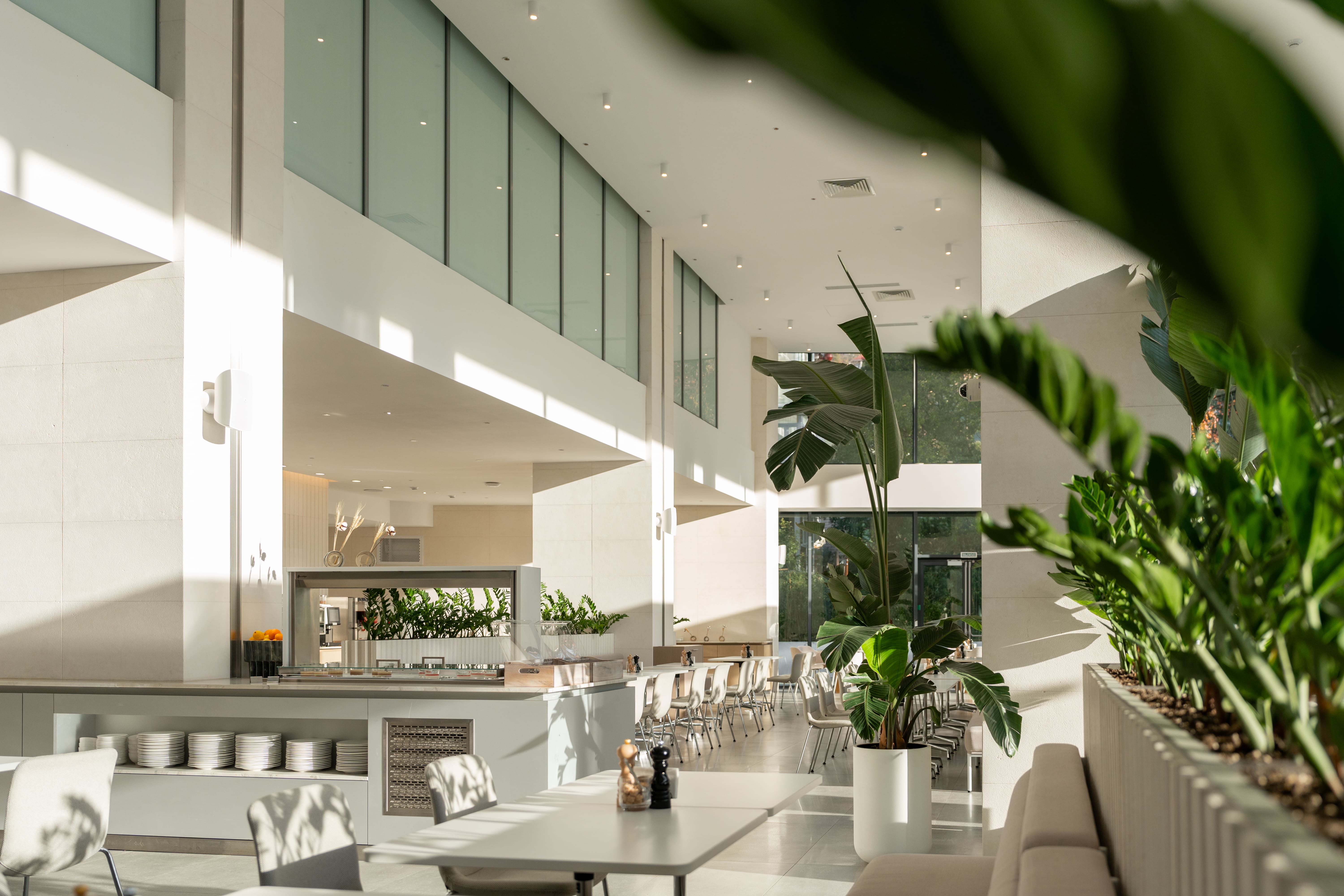 Ресторан Синергия