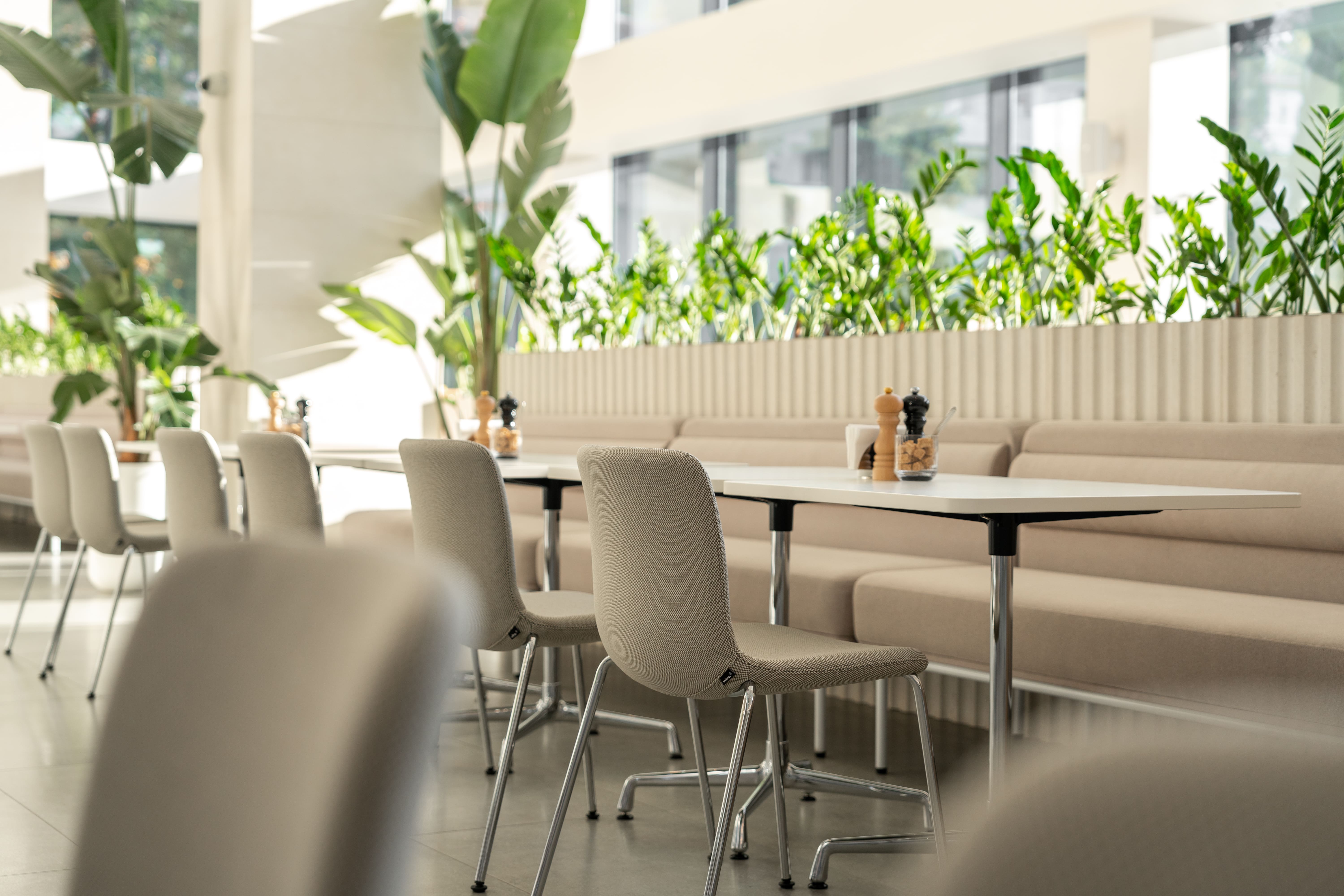 Ресторан Синергия